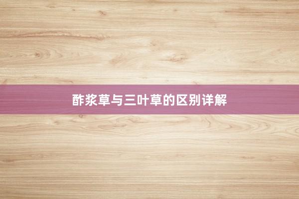 酢浆草与三叶草的区别详解