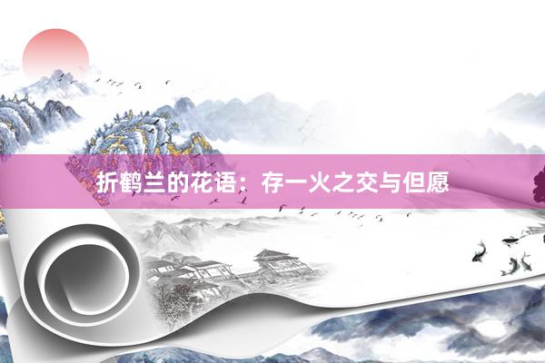 折鹤兰的花语：存一火之交与但愿